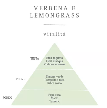 Translation missing: it.Ricarica diffusore bastoncini  Verbena e Lemongrass I Nasoterapia 250ml