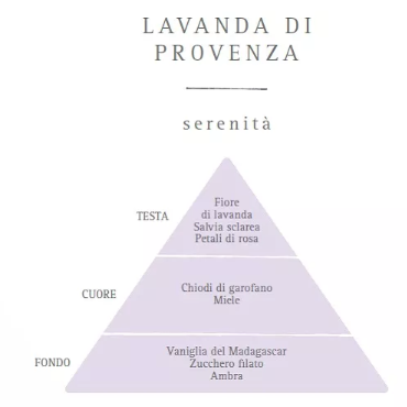 Translation missing: it.Diffusore con bastoncini  Lavanda di Provenza I  Nasoterapia 100ml