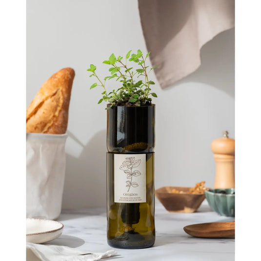Translation missing: it.Vaso Grow Bottle Origano