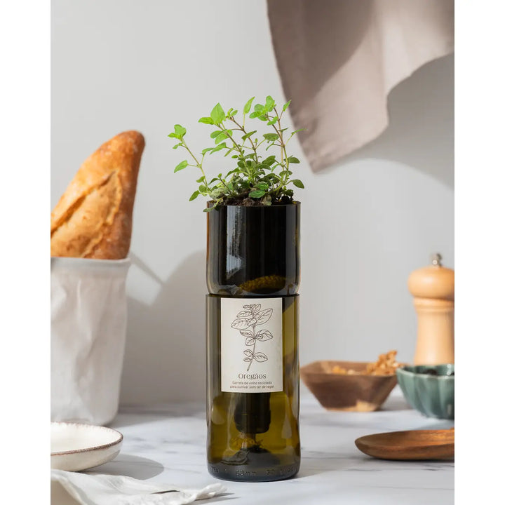 Translation missing: it.Vaso Grow Bottle Origano