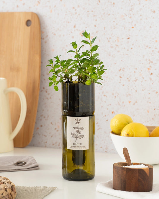 Translation missing: it.Vaso Grow Bottle Menta