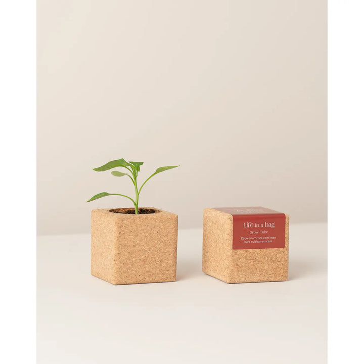 Translation missing: it.Cubo di sughero per coltivare - Peperoncino
