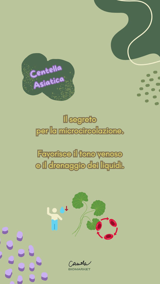 Translation missing: it.Gambe leggere | Tisana per la microcircolazione