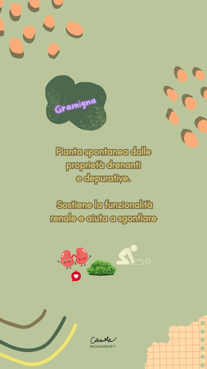 Translation missing: it.Gambe leggere | Tisana per la microcircolazione