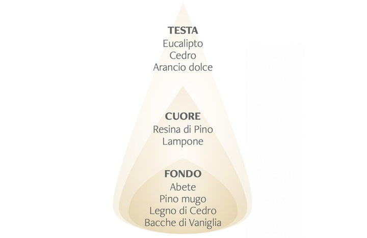 Translation missing: it.Diffusore con bastoncini Abete bianco e Vaniglia  - Nasoterapia