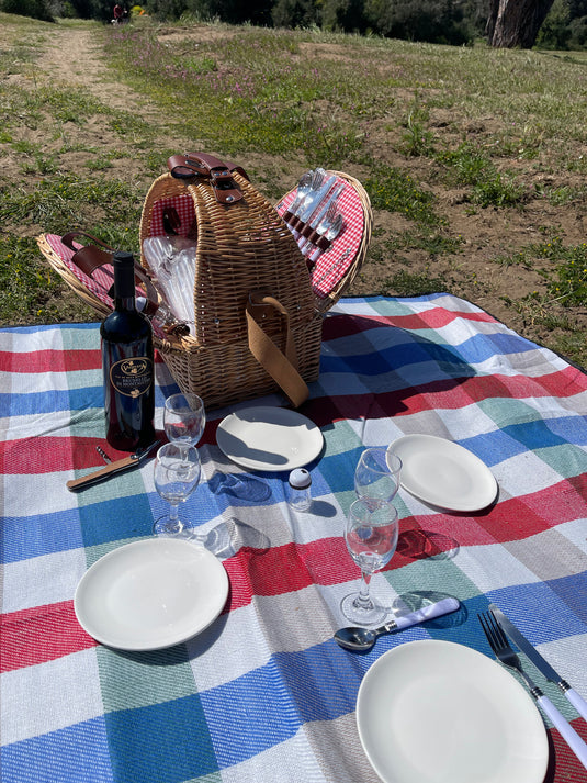 Translation missing: it.Kit Picnic x 4 persone - Ally