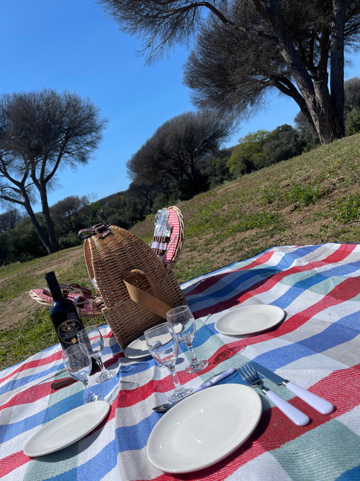 Translation missing: it.Kit Picnic x 4 persone - Ally