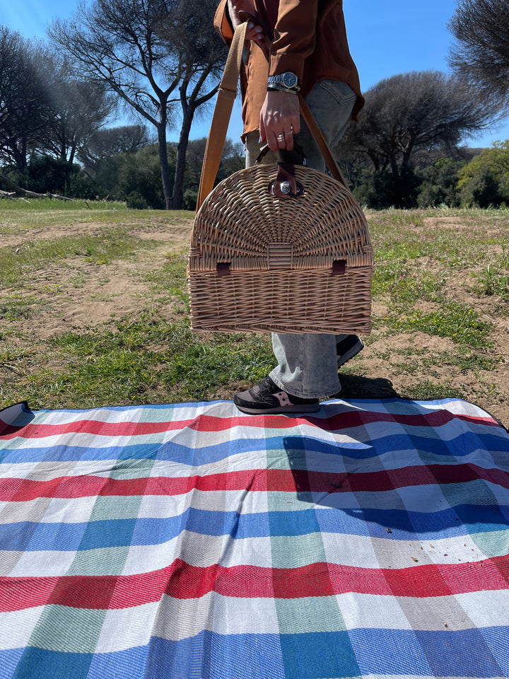 Translation missing: it.Cestino Picnic x 4 persone - Ally