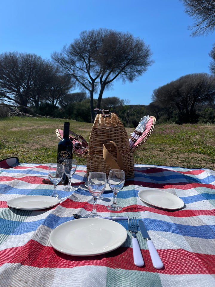 Translation missing: it.Kit Picnic x 4 persone - Ally