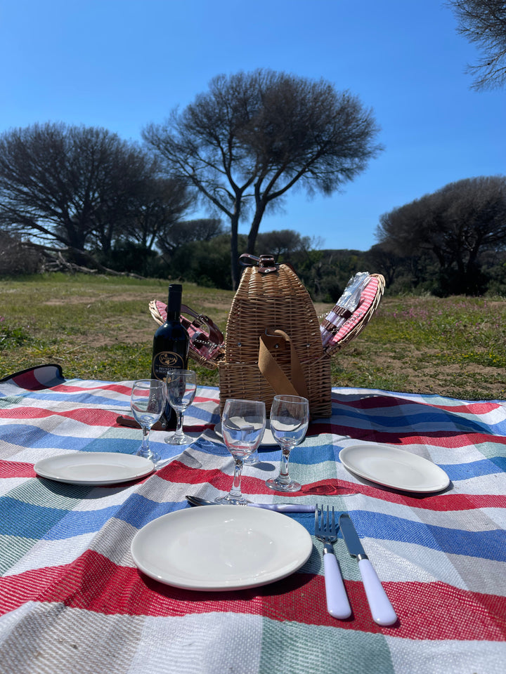 Translation missing: it.Kit Picnic x 4 persone - Ally